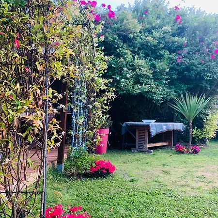 Villa Green Oasis * Saint-Marcouf