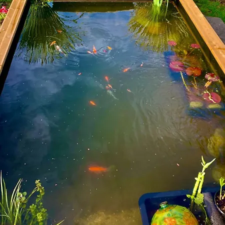 Ferienhaus Oasis